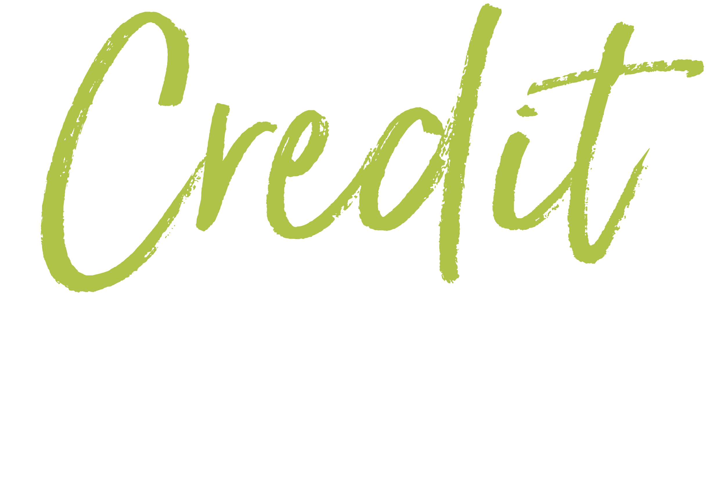 TAPCO Credit 101 Logo